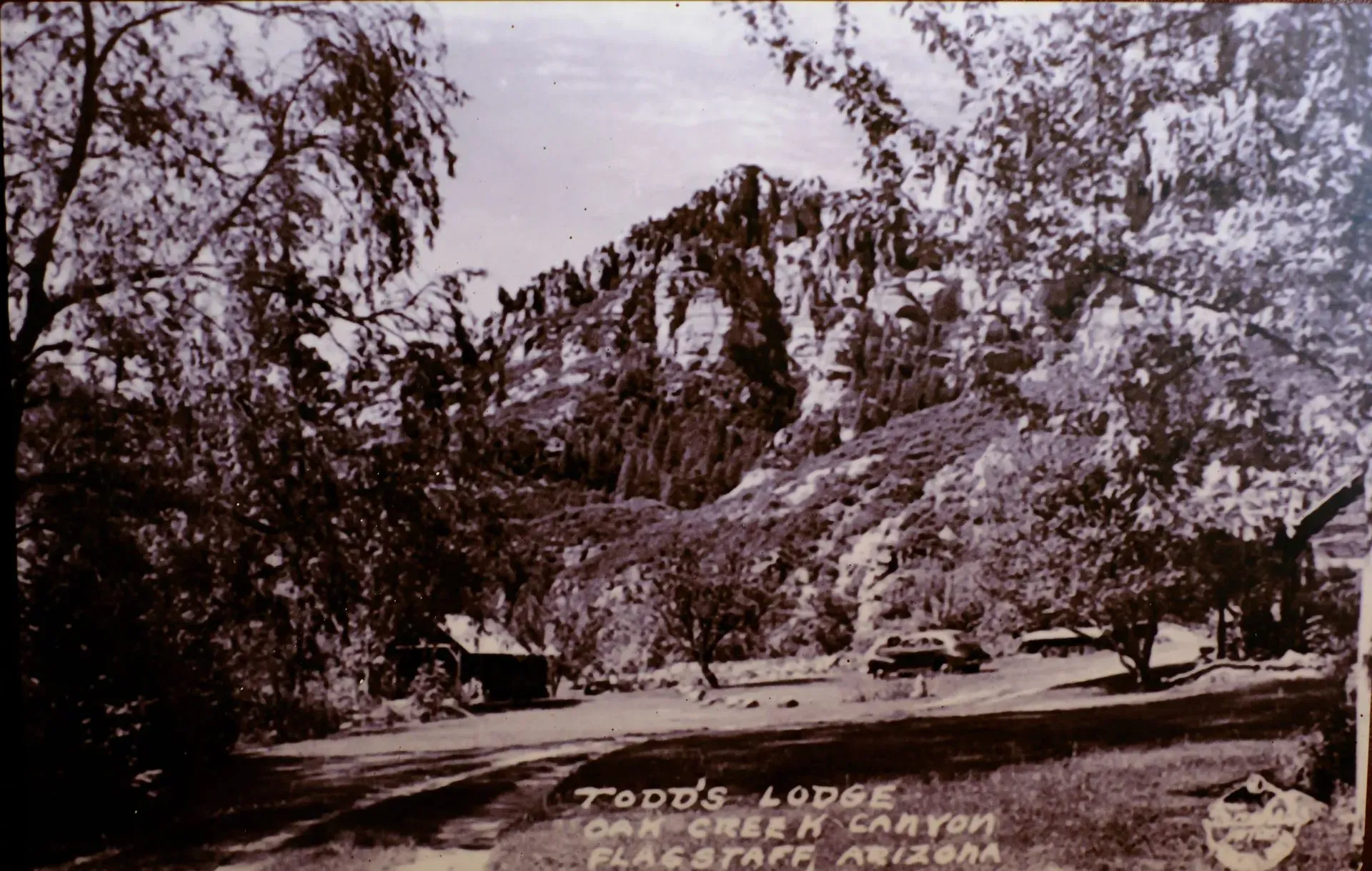 Desert lodge with trees and rocky hills; sign reads “Frood’s Lodge.”