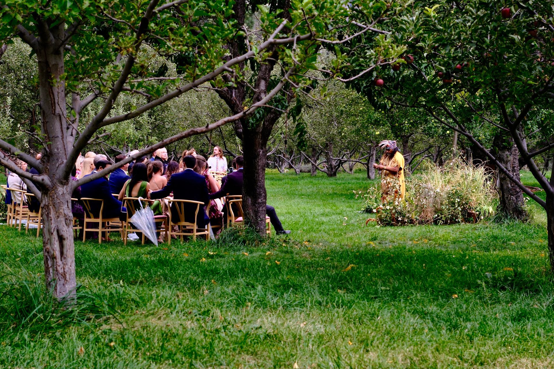 People seated at outdoor tables under trees in a grassy park area