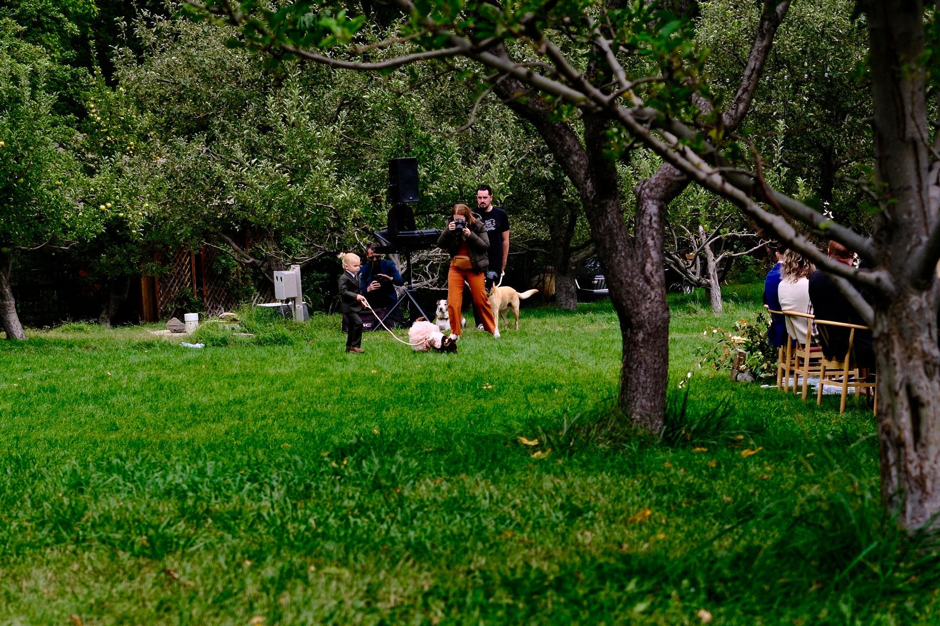 People sitting on lawn in a park under green trees, with one person standing nearby.