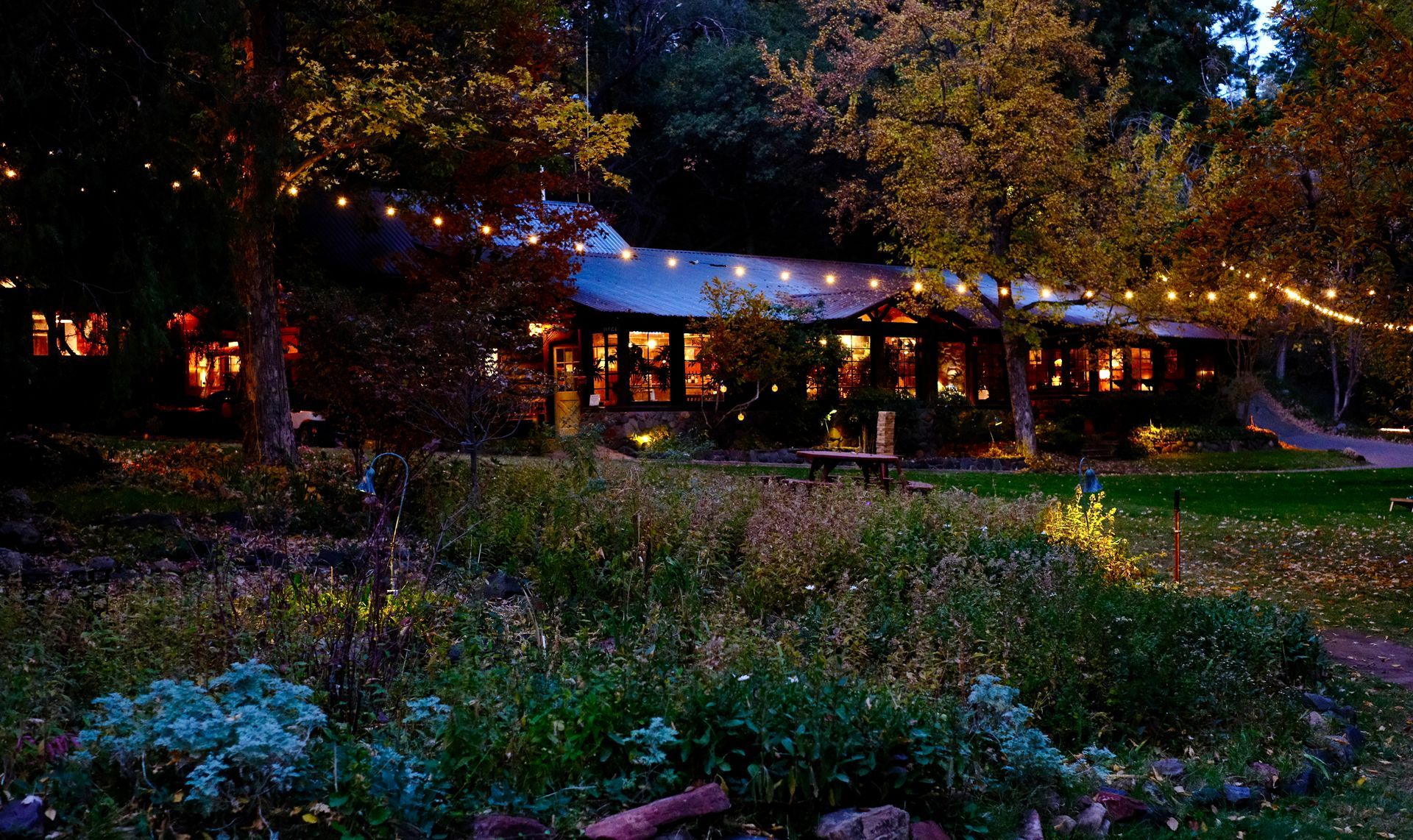Dusk garden scene with a lit house, glowing string lights, and colorful flowers and trees.