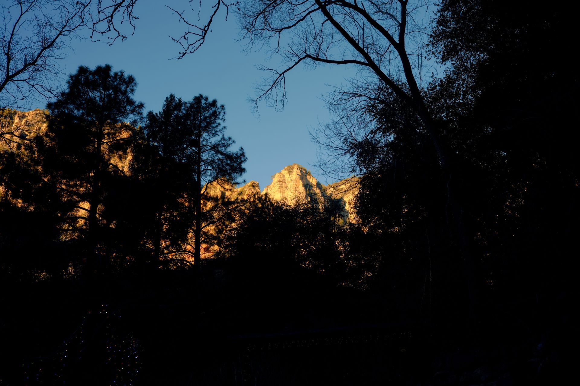 Silhouetted trees against a twilight sky, with warm sunlight on mountain peaks in the distance