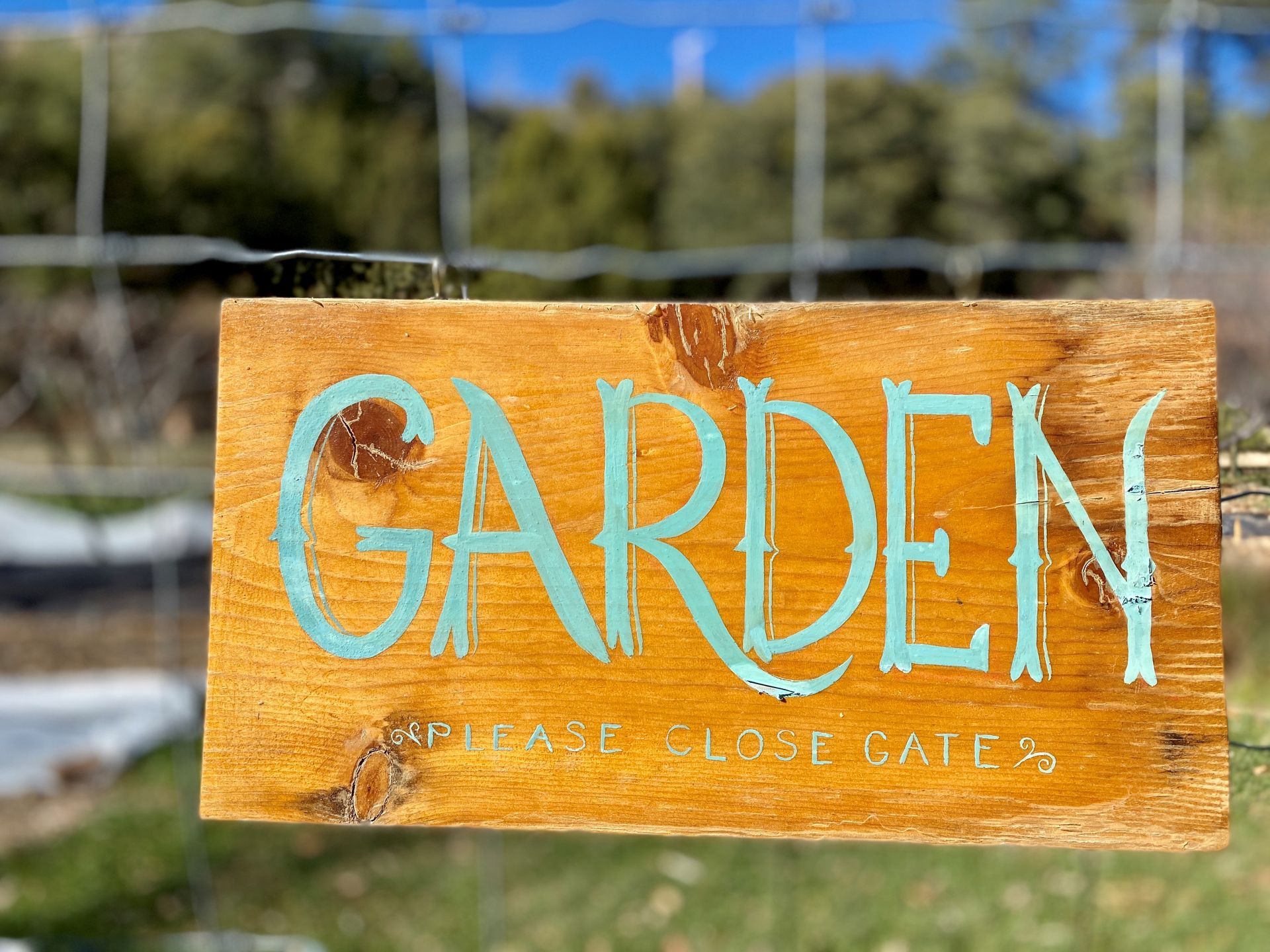 Rustic wooden sign reading “GARDEN” in turquoise letters outdoors