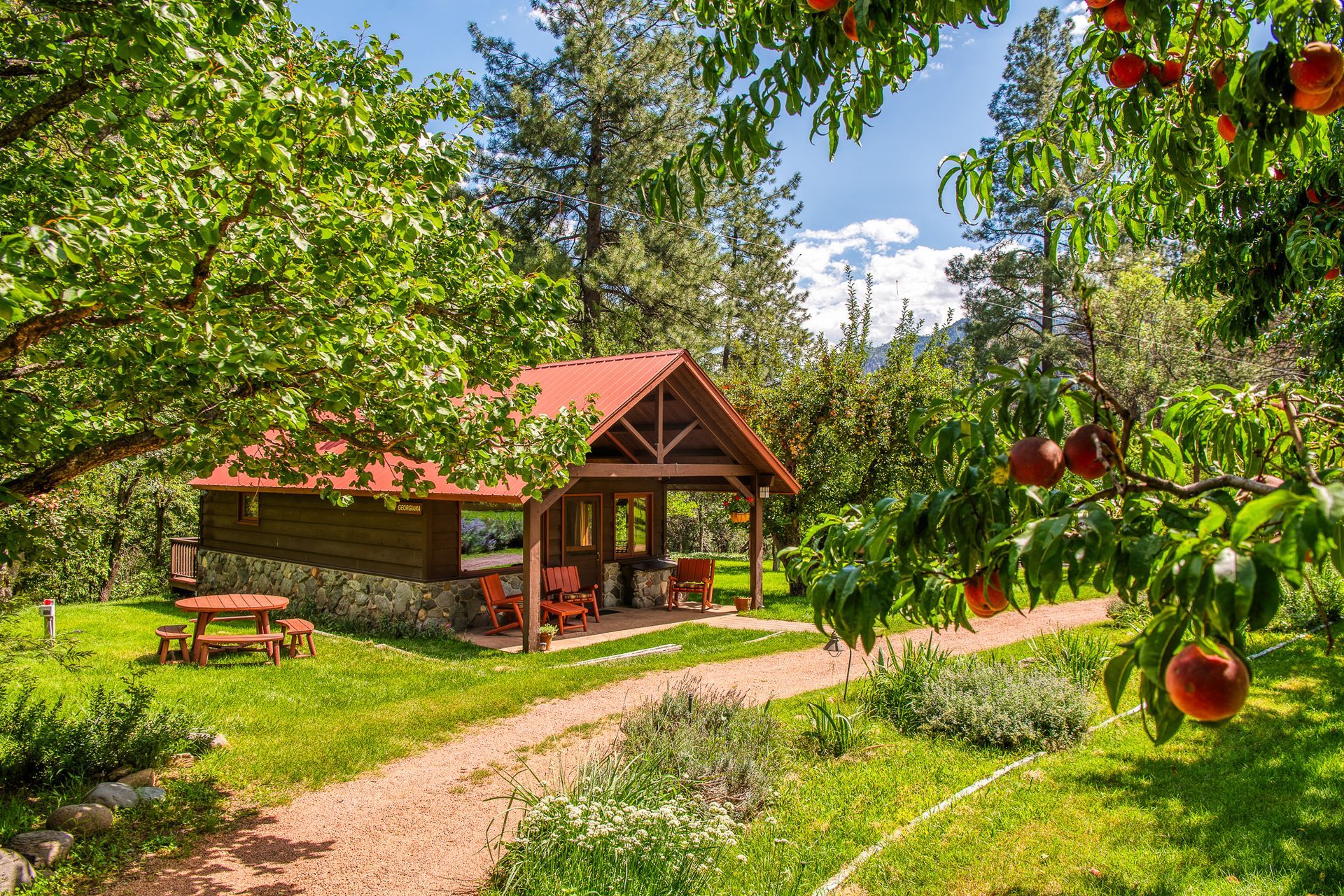 Rural cottage with red roof beside a garden path, surrounded by lush green trees and ripe fruit on the branches