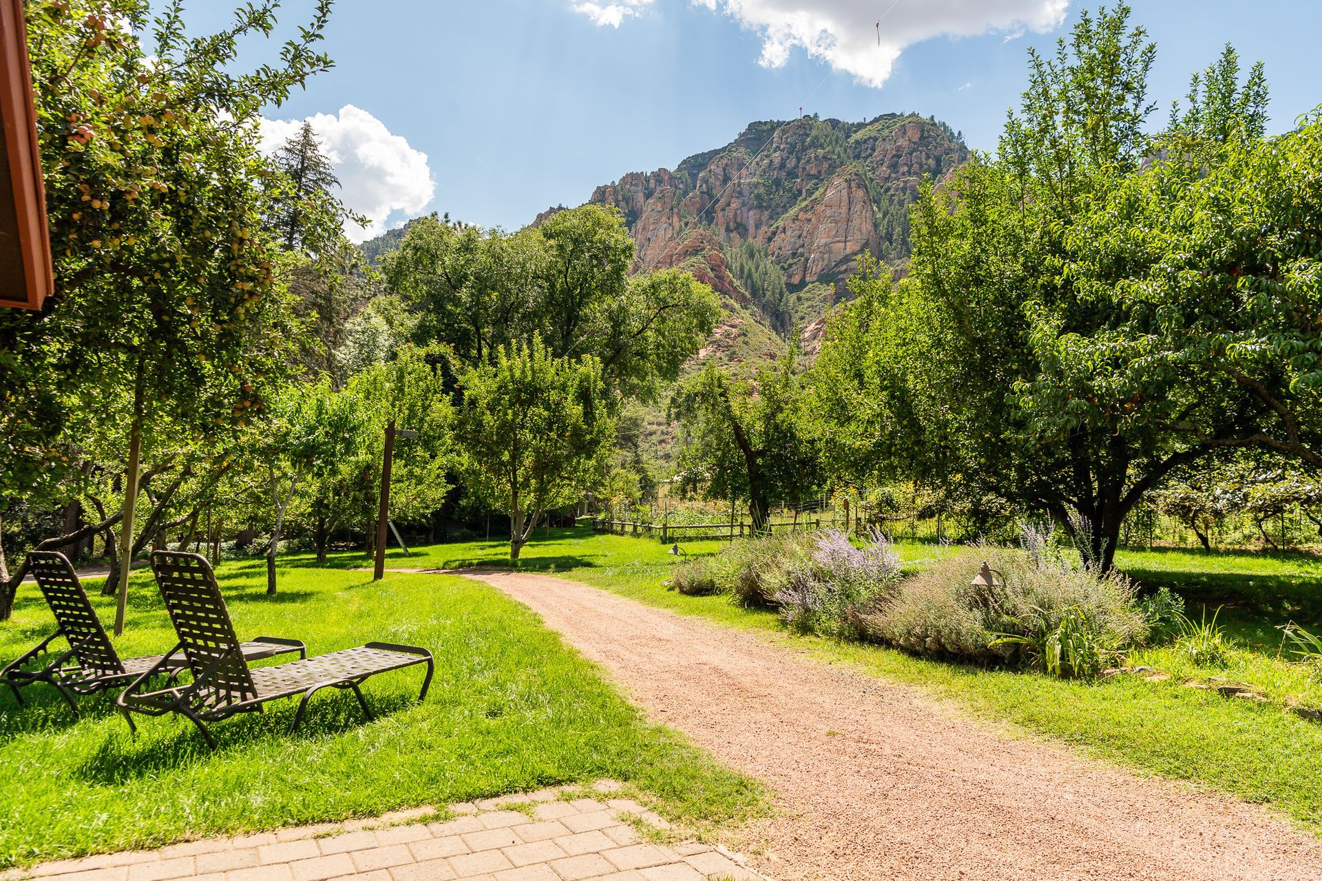 Sunny garden path with green trees, lounge chairs, and mountains in the background