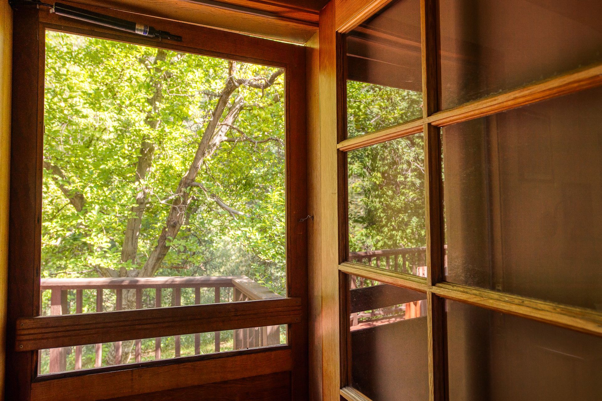 Wooden porch opening to leafy green trees, with a screened door and railing in warm sunlight