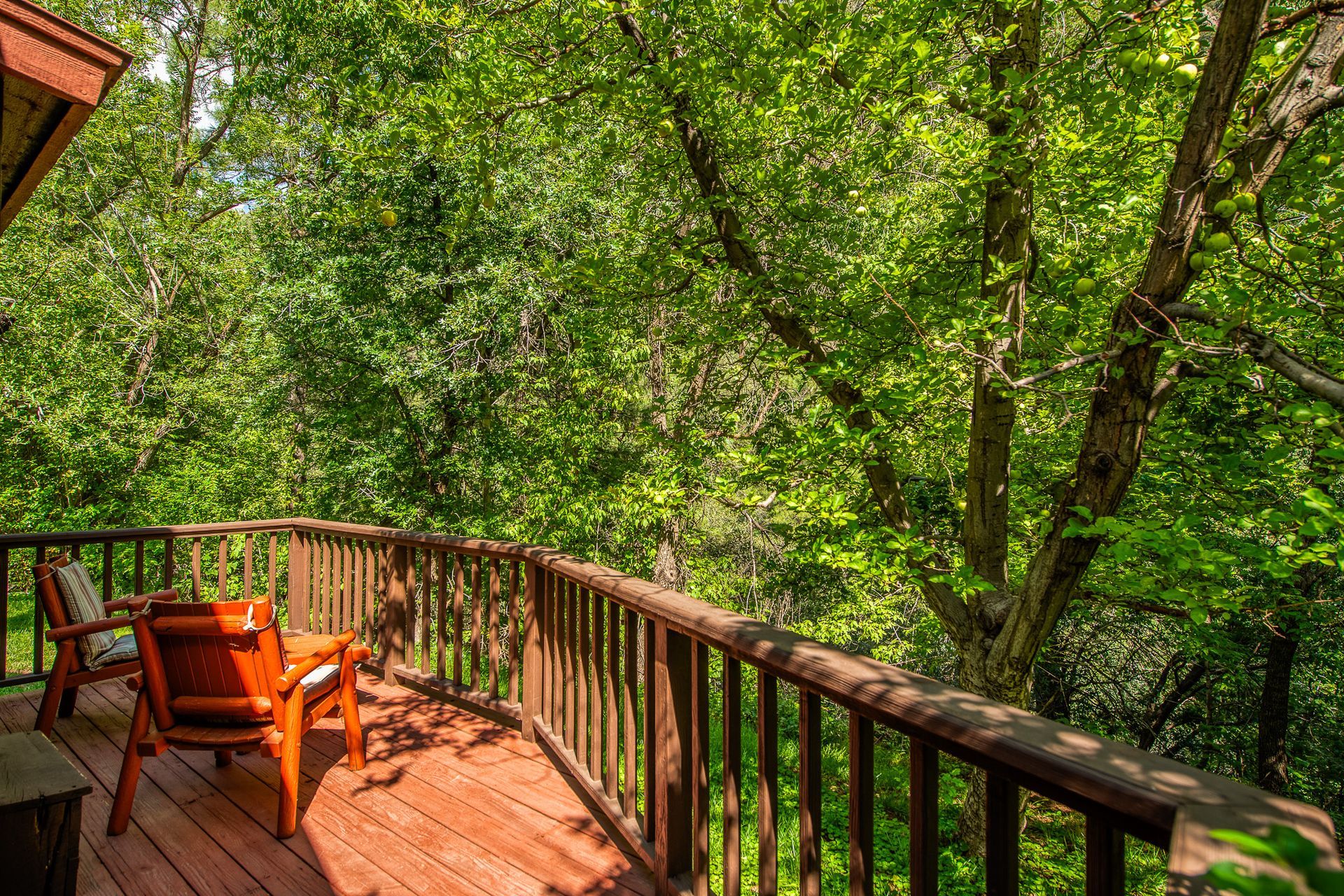 Wooden deck with orange chairs overlooking a lush green forest canopy