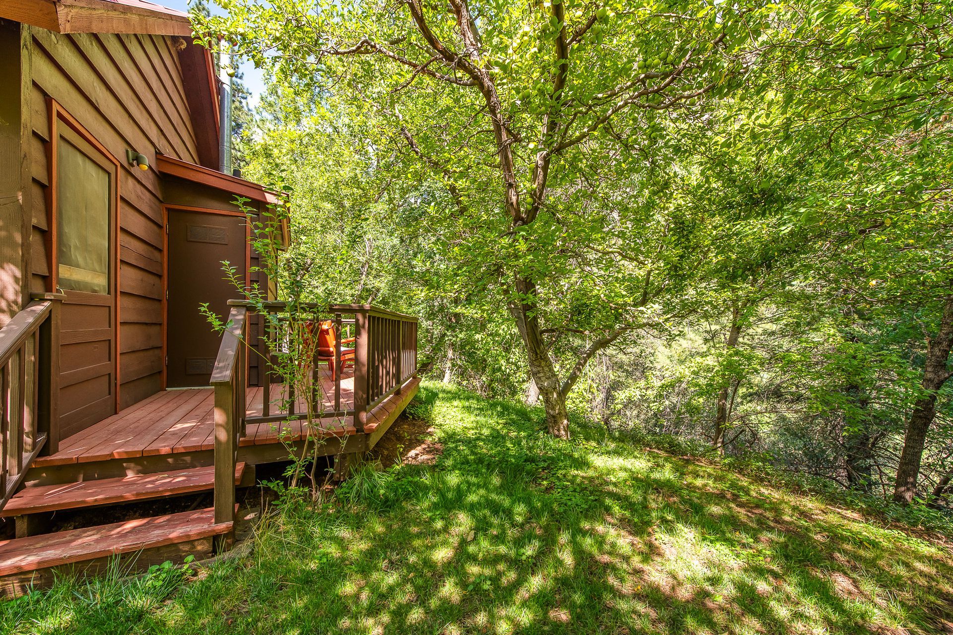 Wooden cabin porch beside lush green trees and grass in bright sunlight