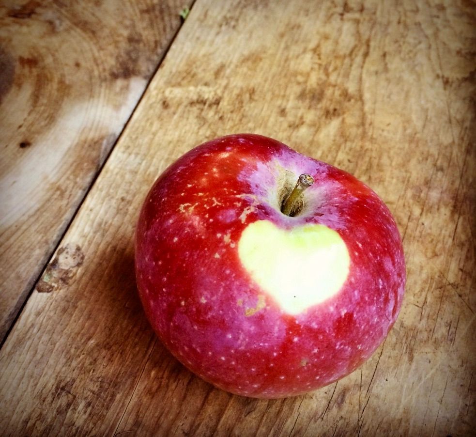 Red apple with a heart-shaped bite mark on a wooden table