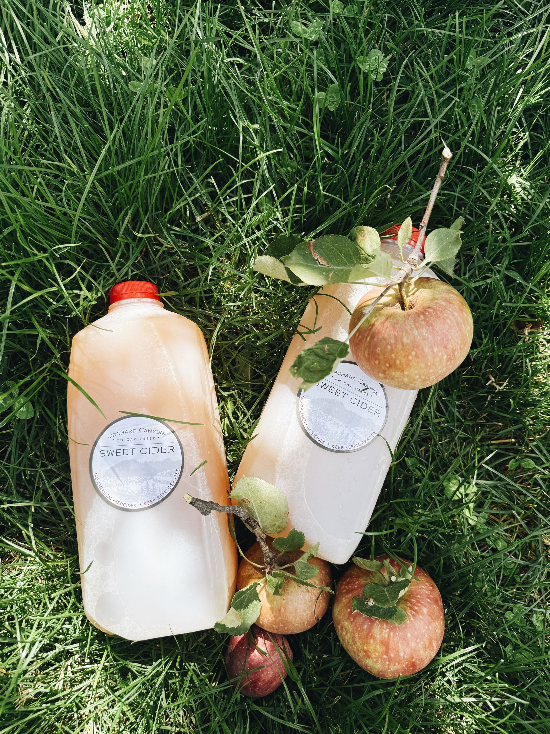 Two white bottles with red caps and apples on grass, with leaves and twigs around them