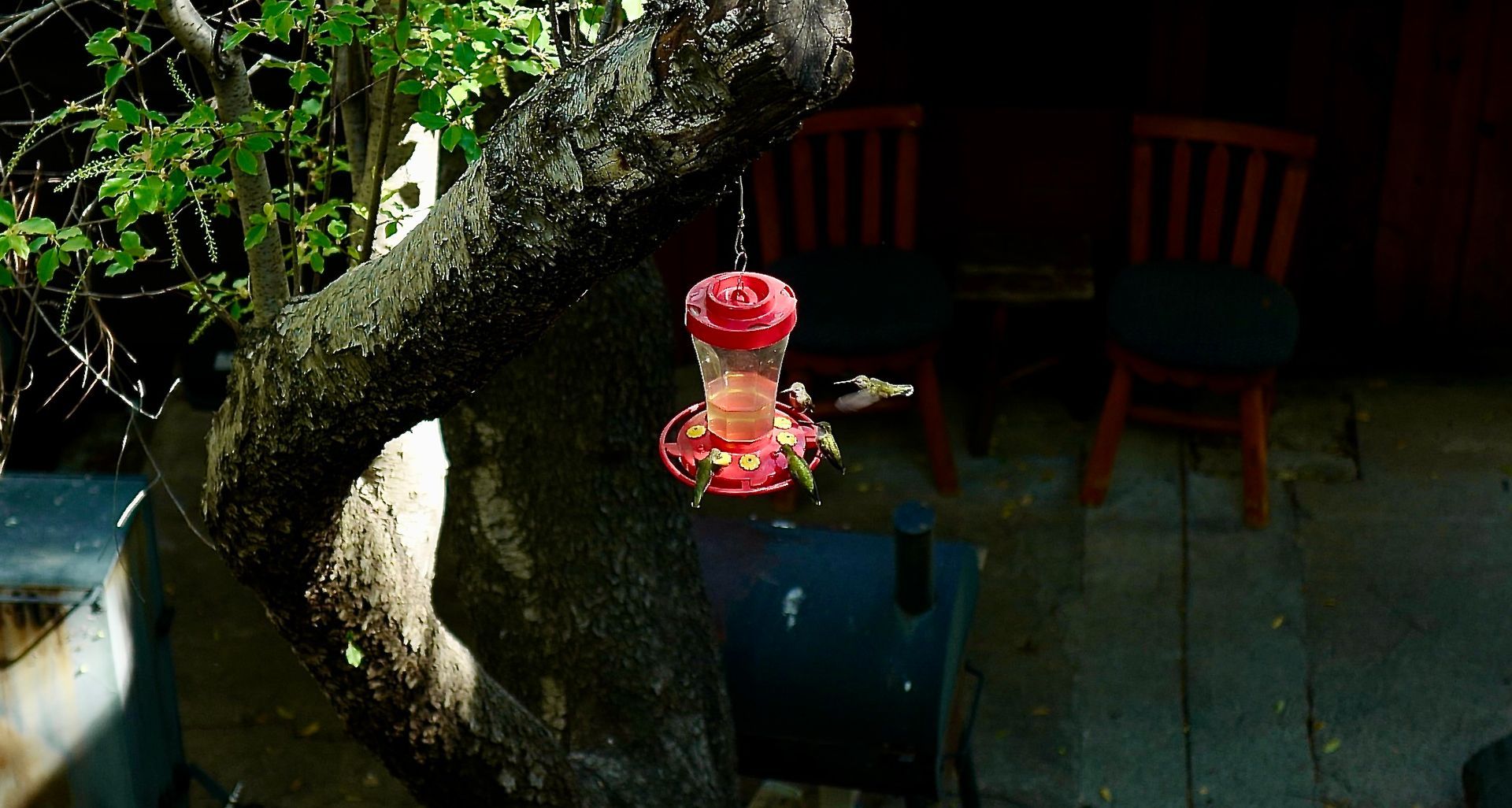 Moss-covered garden statue with a red hat beside patio chairs and potted plant in dappled sunlight