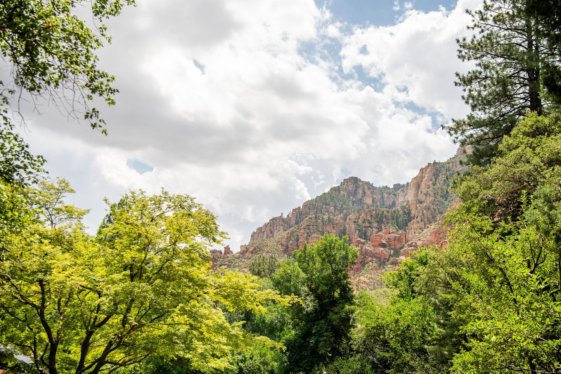 Rocky mountain ridge above lush green trees under a cloudy sky