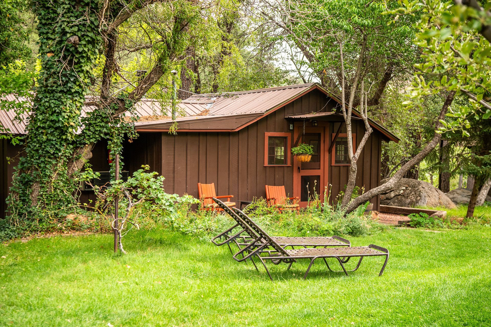 Rustic brown cabin in a lush green garden with lounge chairs and trees surrounding it
