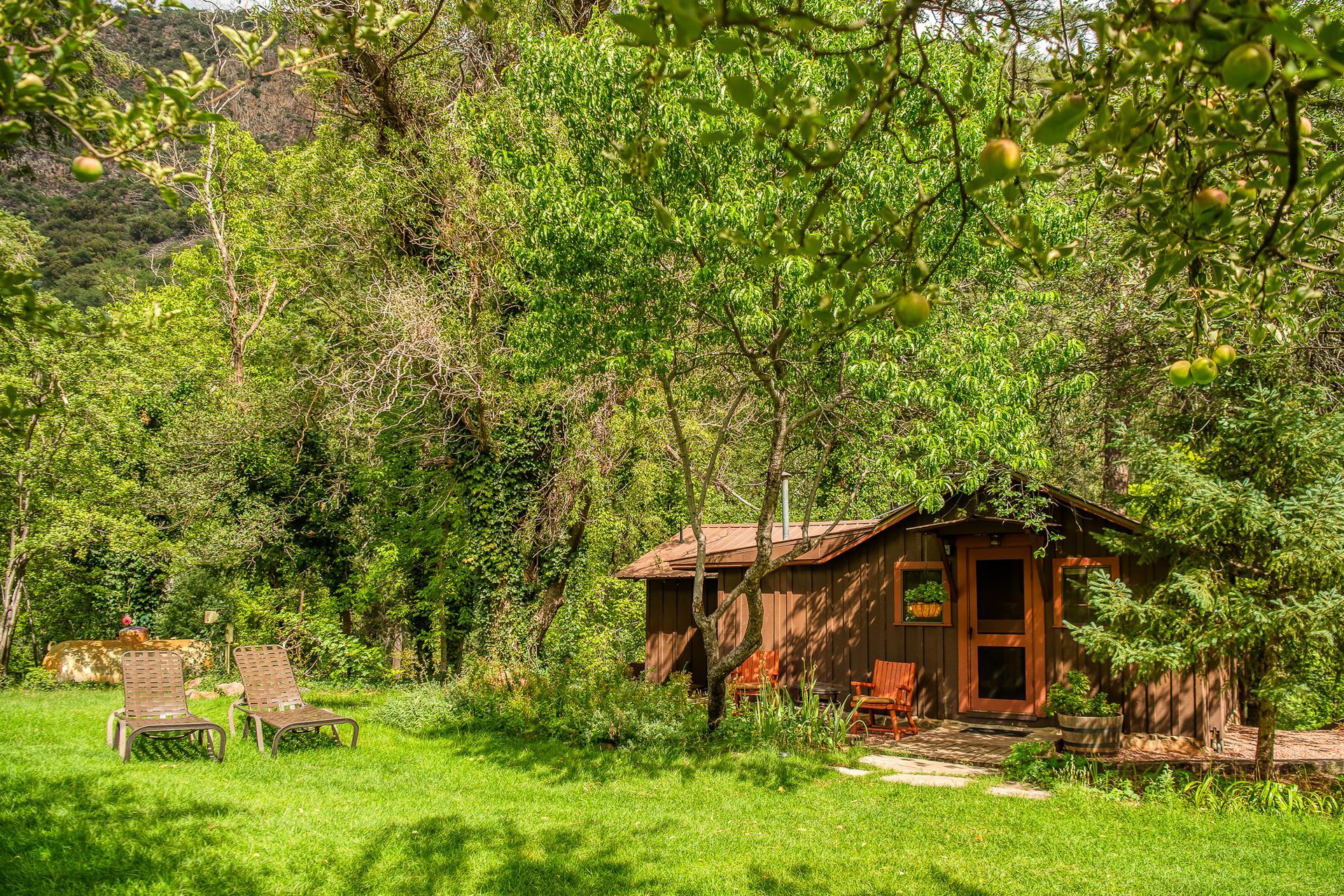 Rustic cabin in a lush green forest clearing with chairs and a grassy lawn
