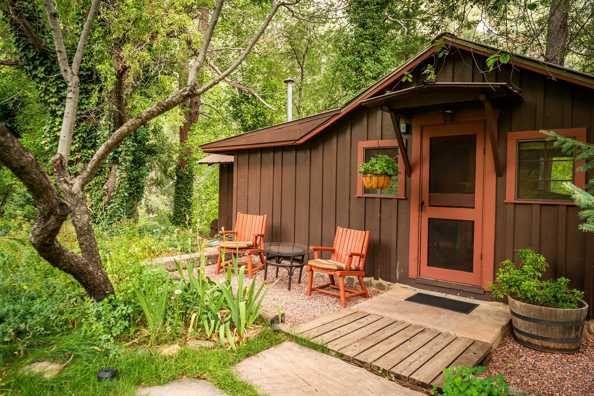 Small brown cabin with porch chairs, surrounded by lush green trees and plants