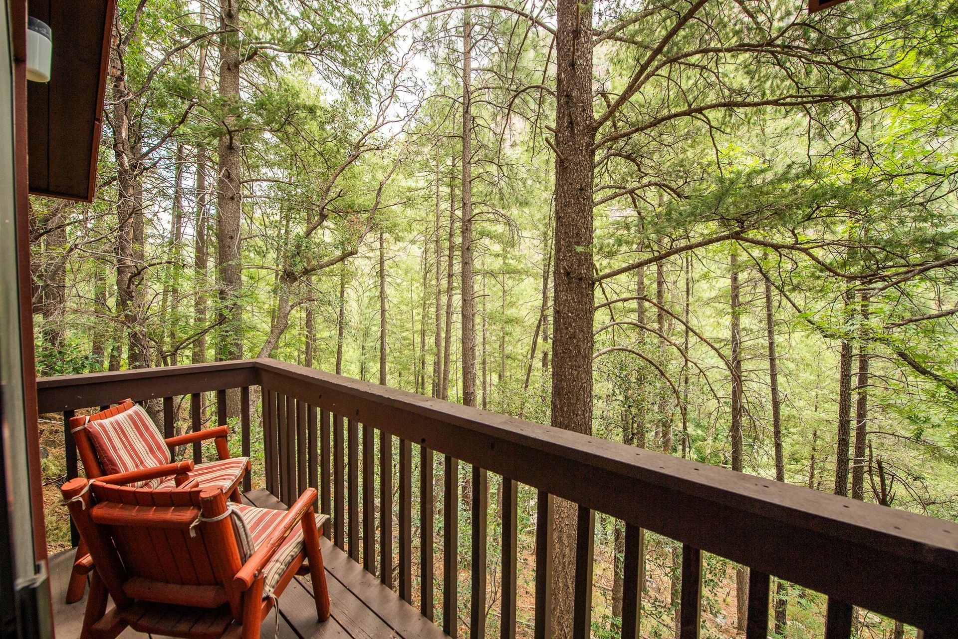 Wooden porch with two red chairs overlooking a dense forest
