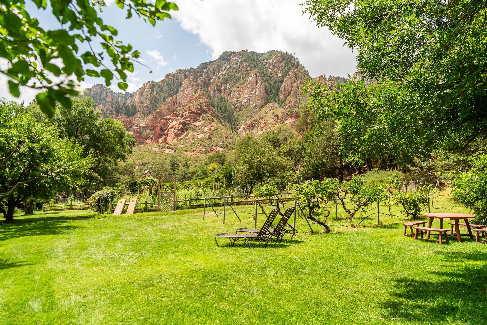 Green park with trees and picnic tables beneath a rocky mountain under a bright sky