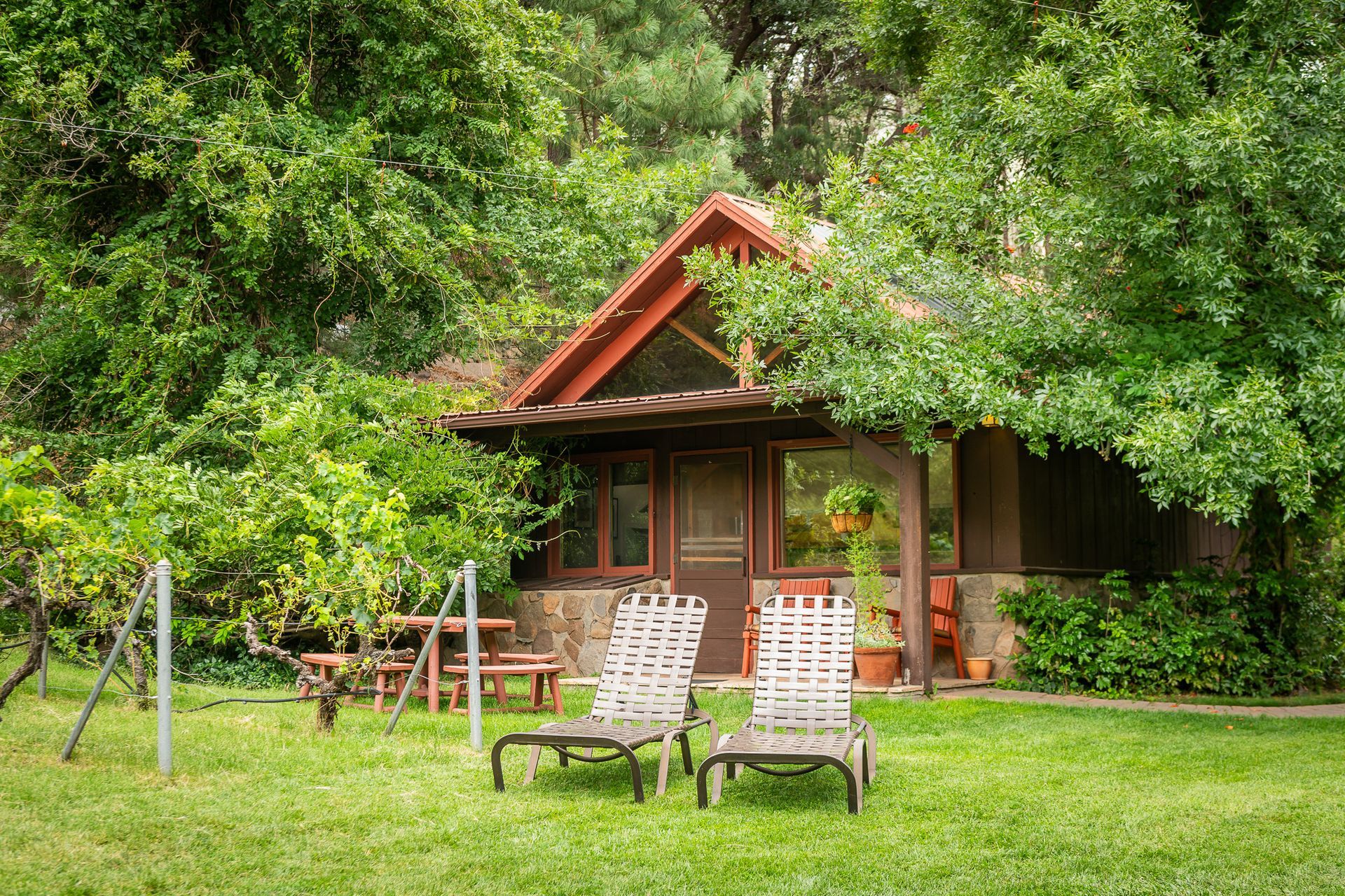 Rustic cabin in a lush green garden with two lounge chairs on the lawn