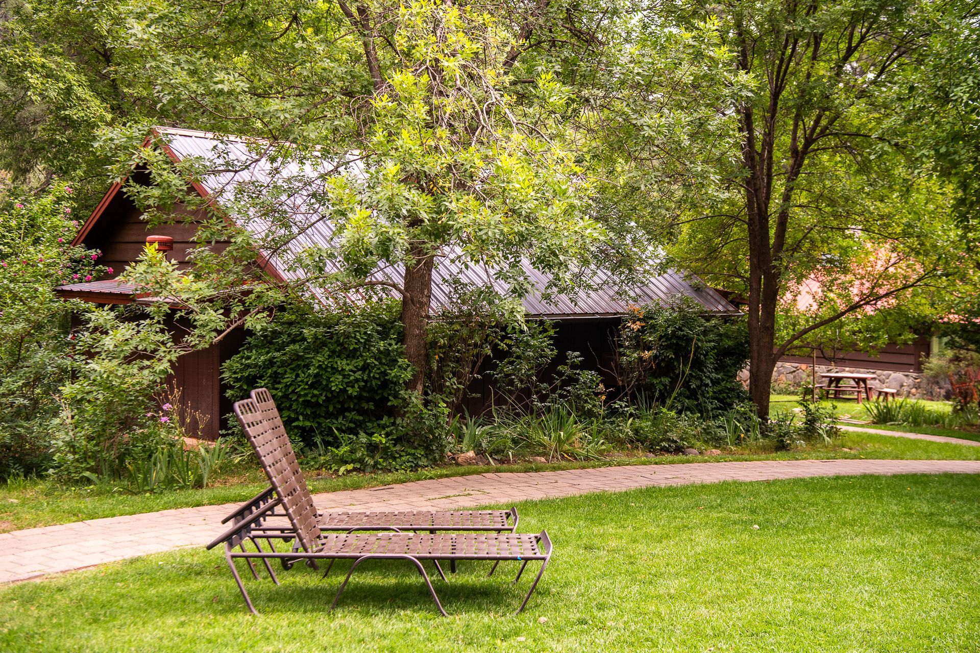 Lounge chair on a green lawn beside a tree-lined path and rustic house in a leafy garden