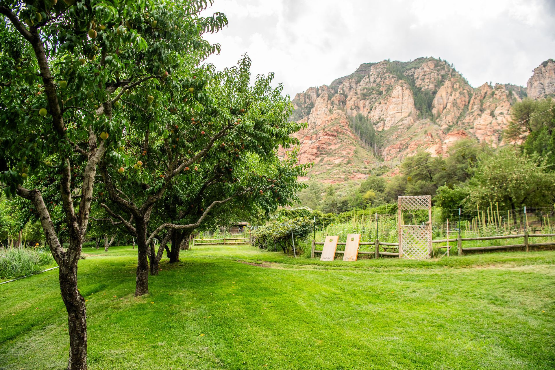 Green orchard lawn with trees, picnic chairs, and rocky mountains in the background
