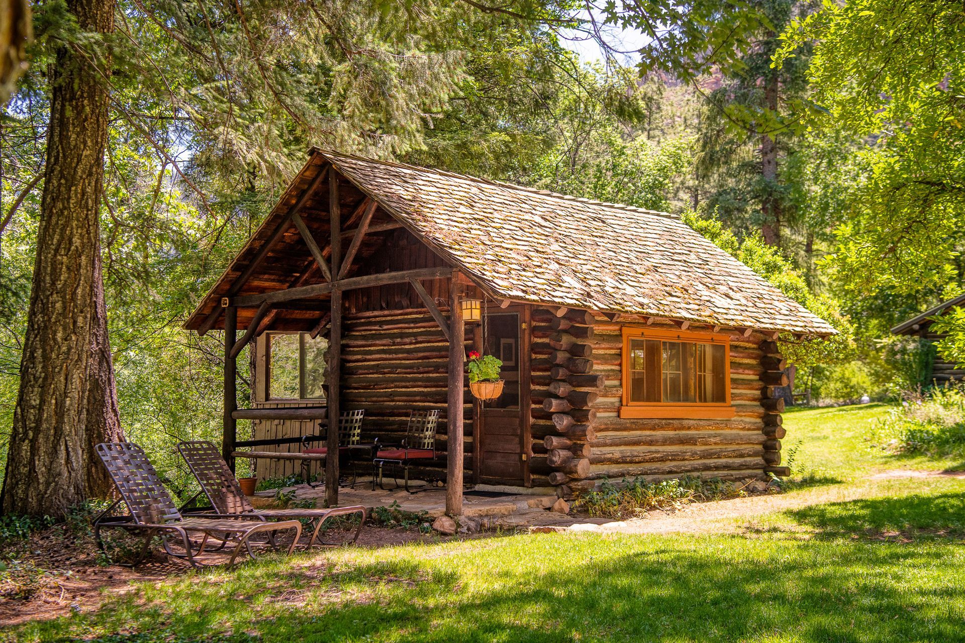 Rustic wooden cabin with a tiled roof in a sunny green forest clearing