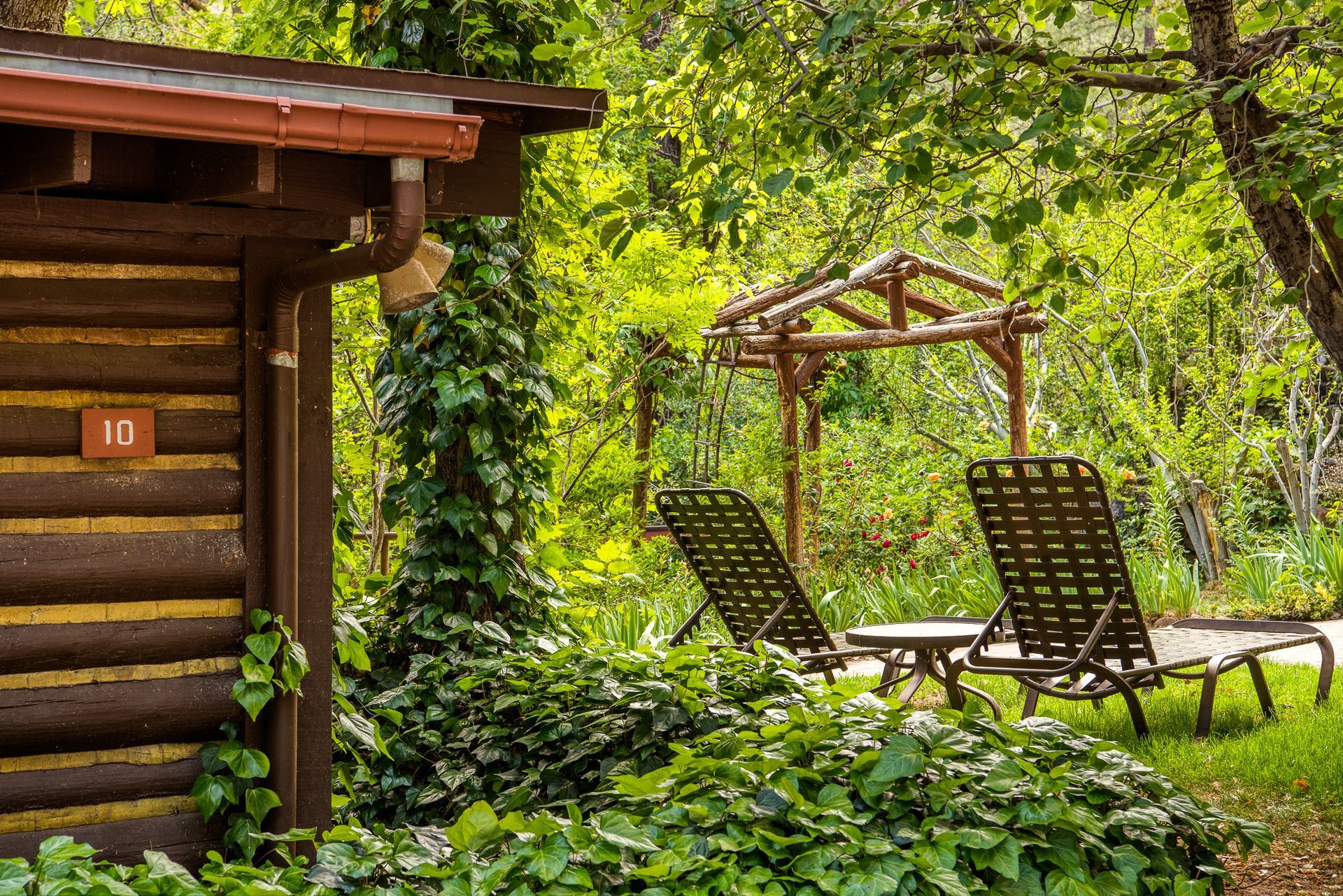 Rustic log cabin garden with two lounge chairs under green trees and a wooden trellis