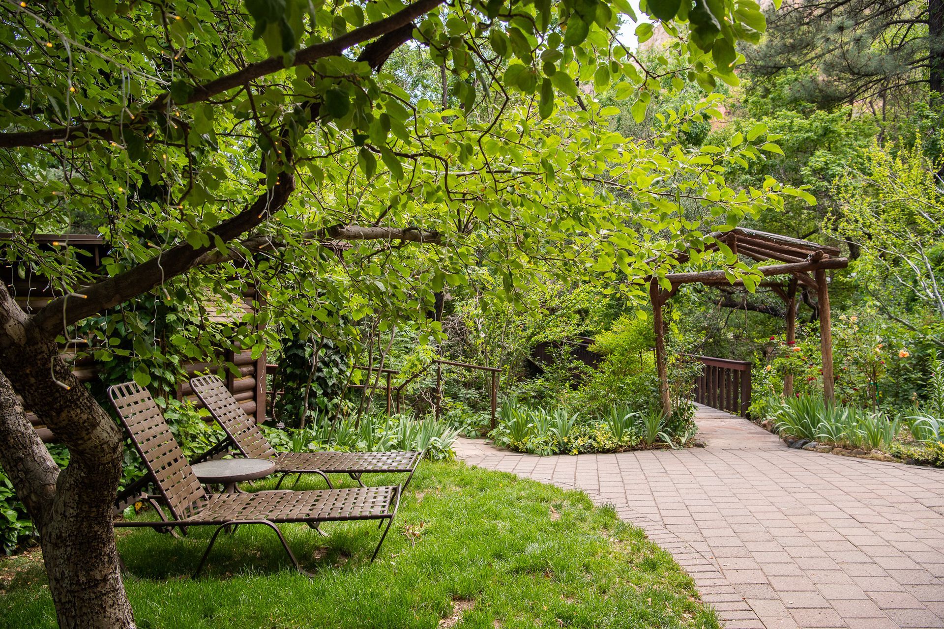 Garden path with stone pavers, wooden bench, and leafy pergola surrounded by green trees and shrubs