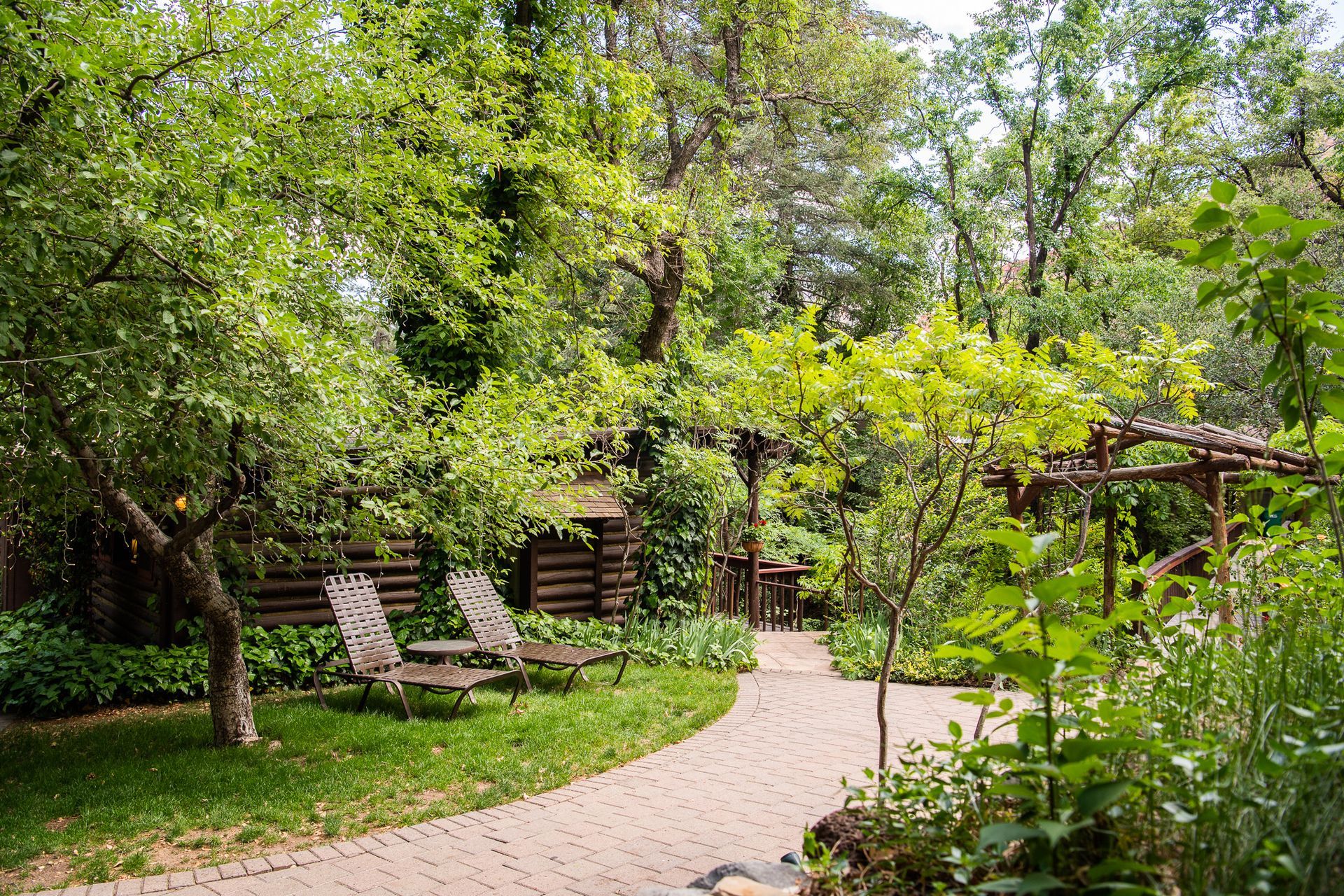 Garden path with lounge chairs and lush green trees in a sunny park