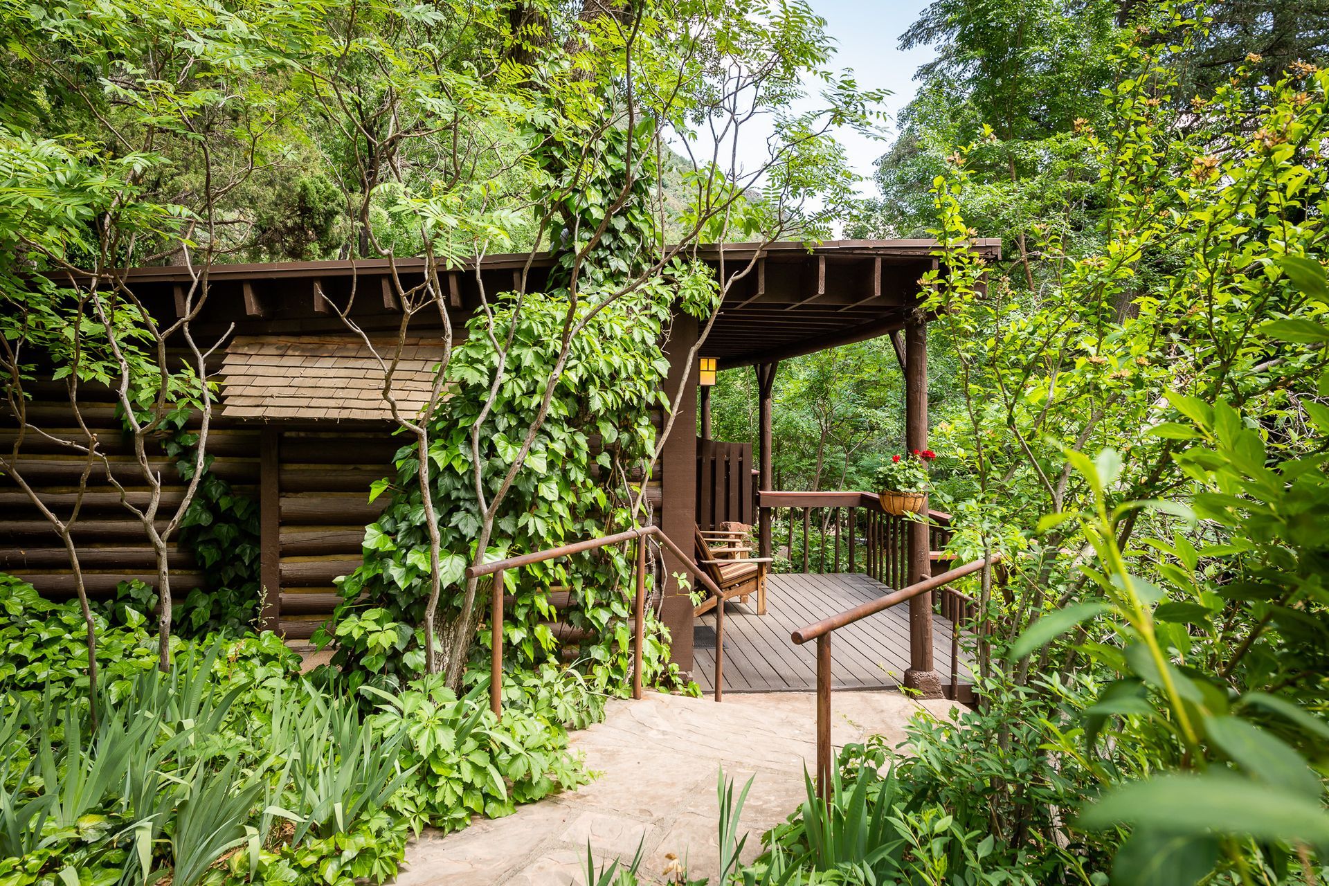 Wooden cabin entrance on a lush forest path, surrounded by dense green foliage and bamboo railings.