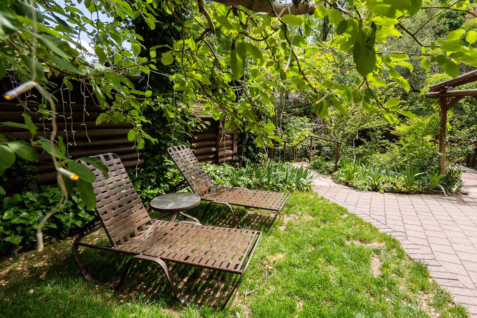Sunlit garden patio with wicker lounge chairs and a grassy path under leafy vines