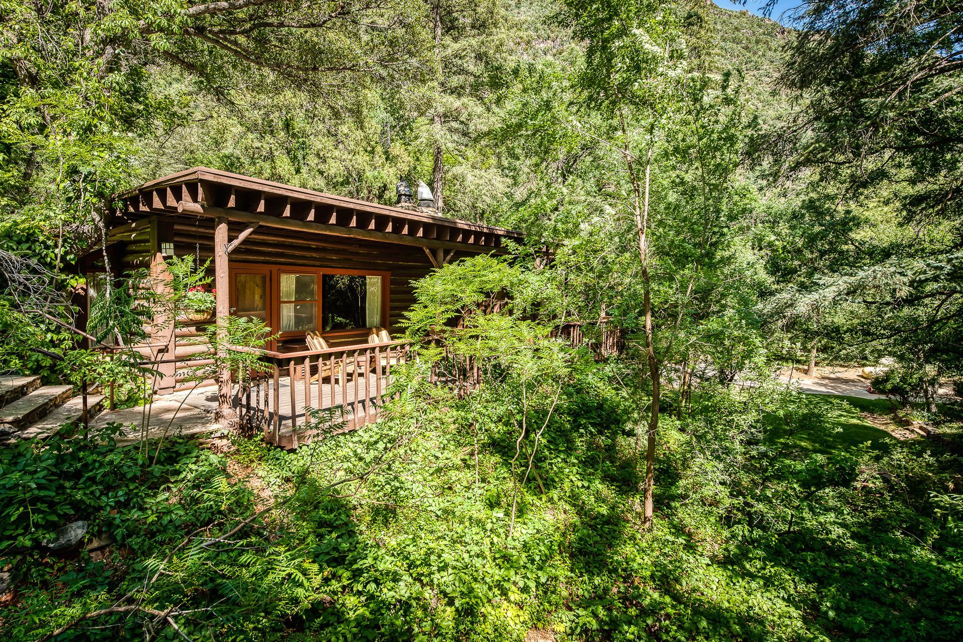 Small wooden cabin amid dense green forest and sunlight