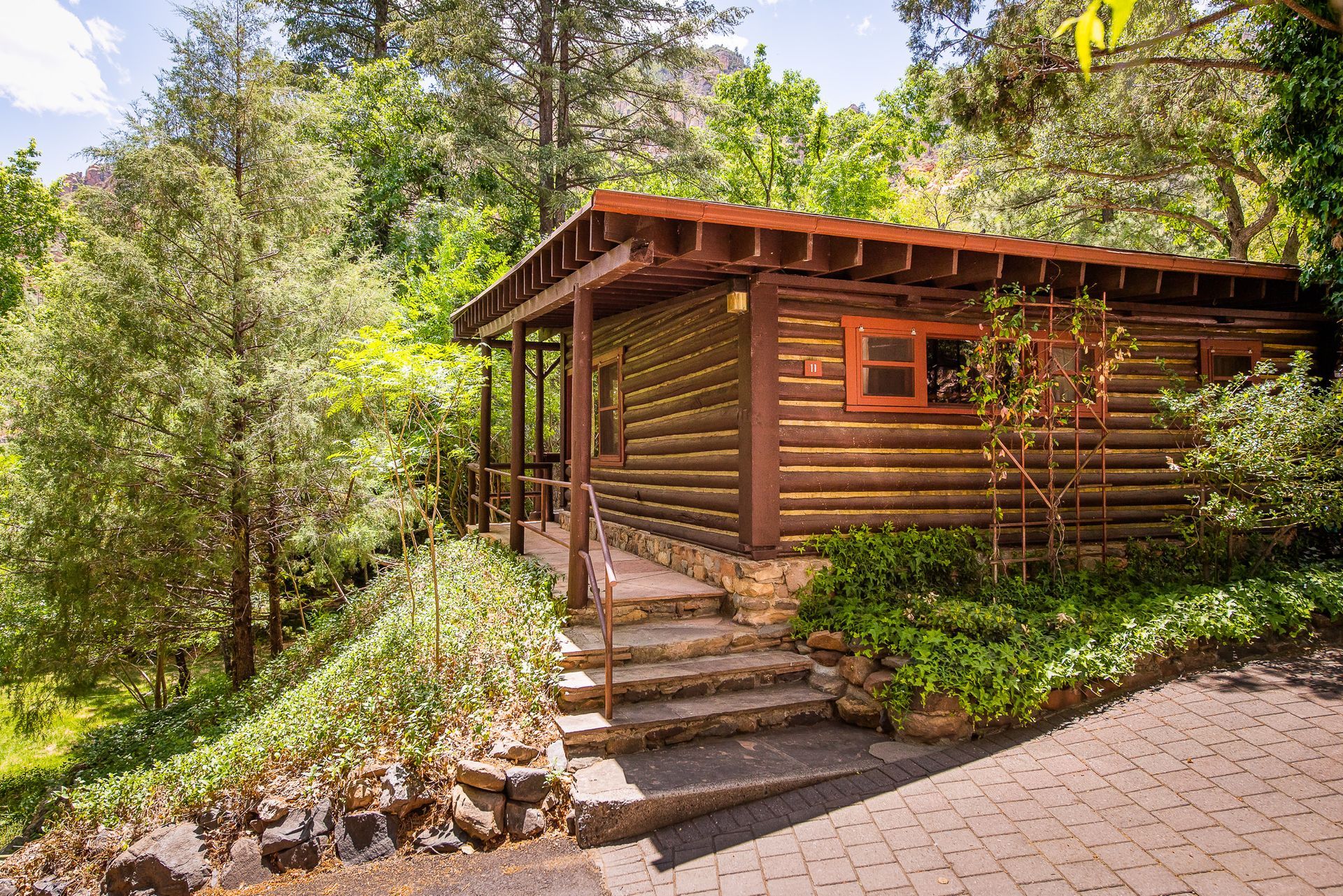 Wooden cabin in a lush forest with steps leading up to the porch