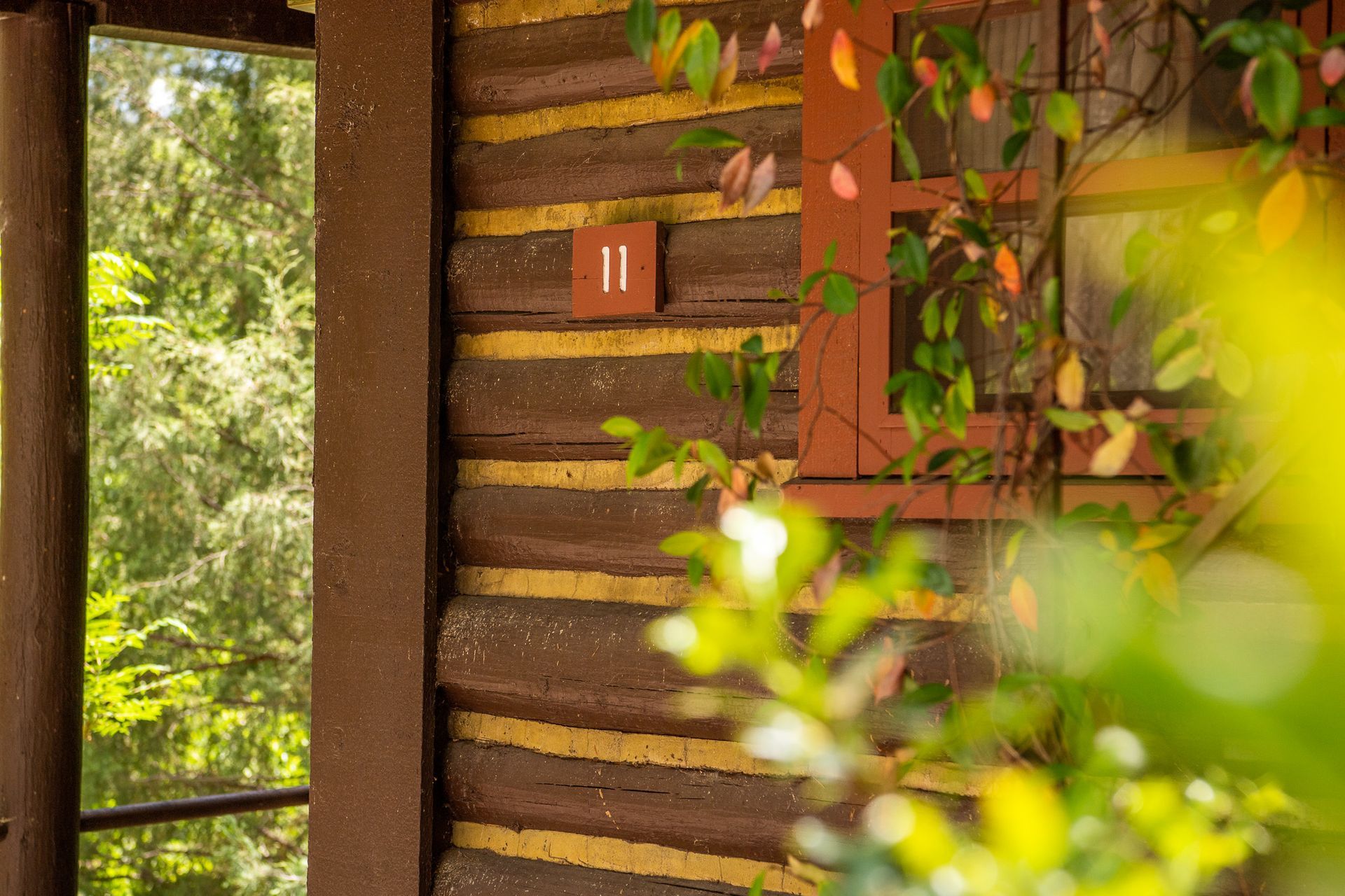 Rustic wooden cabin wall with a open doorway and sunlit green foliage outside, partly obscured by leaves.