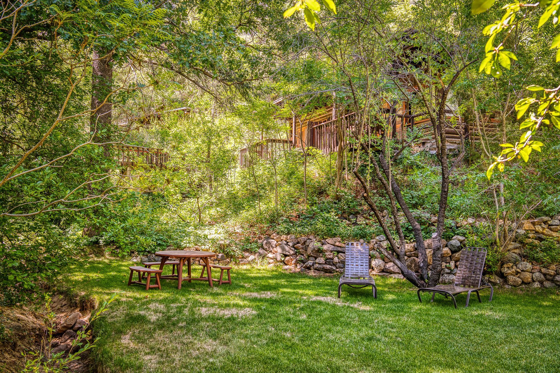 Shaded garden with grass, picnic table, and a chair among dense green trees.