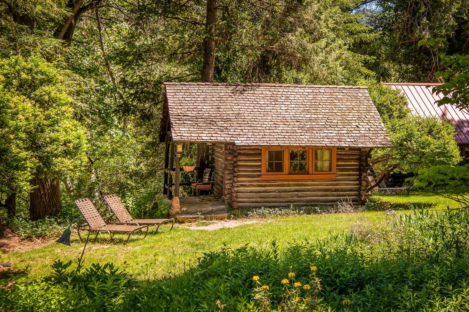 Rustic cabin with wood shingle roof in a sunny forest clearing, with lawn chairs and wildflowers nearby