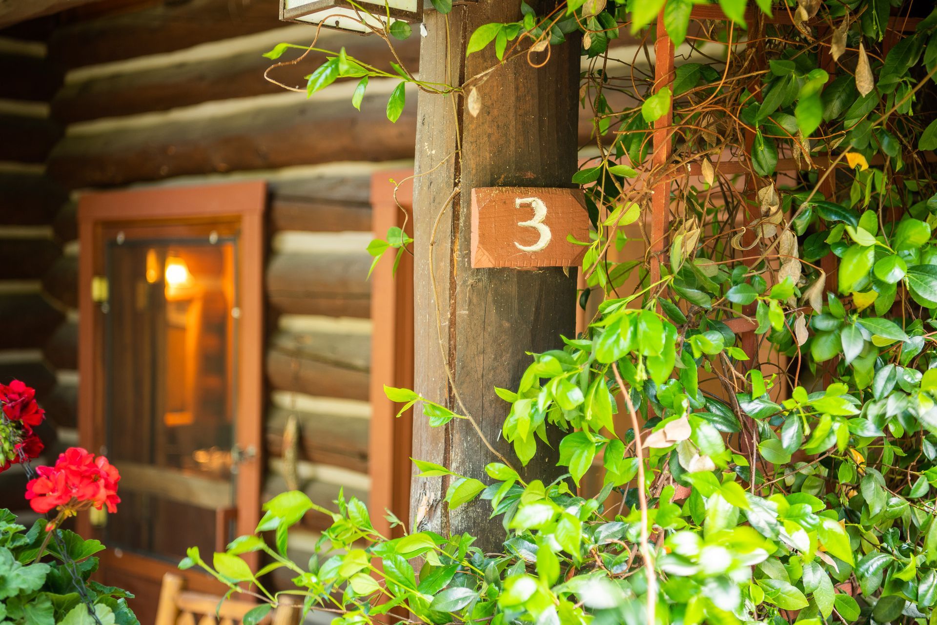 Log cabin exterior with a wooden door marked “3,” framed by green foliage and red flowers