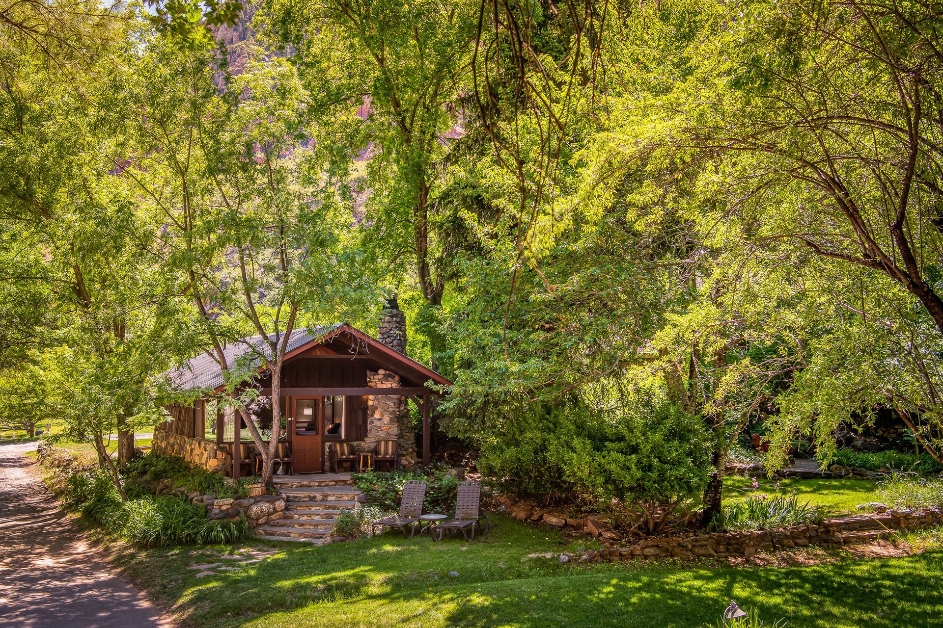 Small rustic cabin nestled among lush green trees in a sunny forest clearing