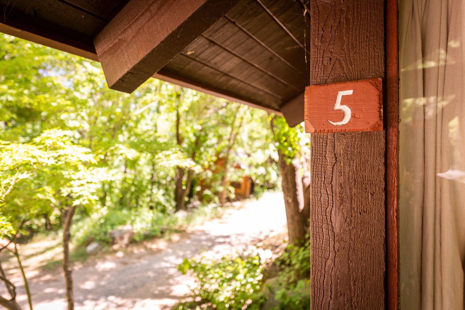 Red cabin wall with orange number 5 beside a sunlit wooded path