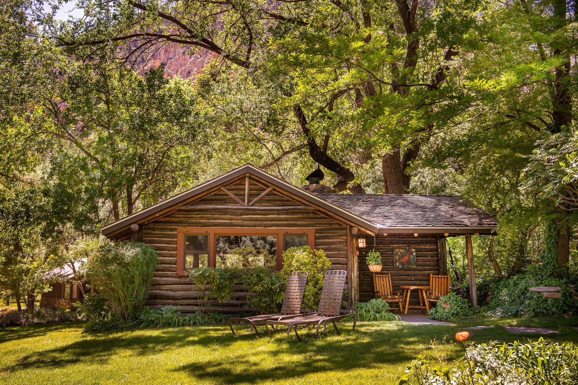 Rustic log cabin surrounded by lush green trees and sunlit lawn in a peaceful garden.