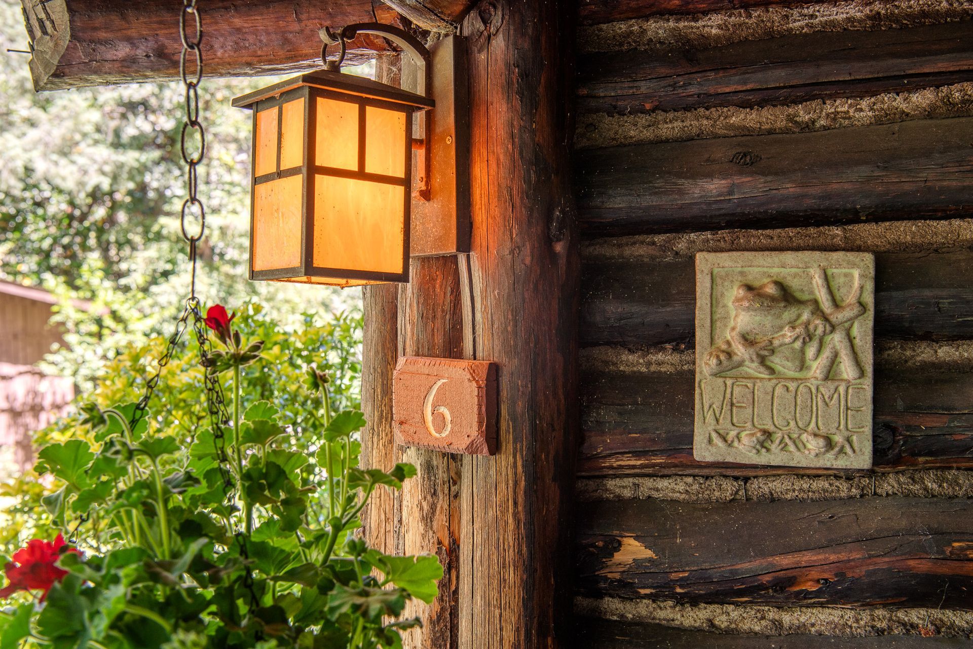 Rustic cabin wall with glowing lantern, hanging chain, red flower, and carved wooden plaque