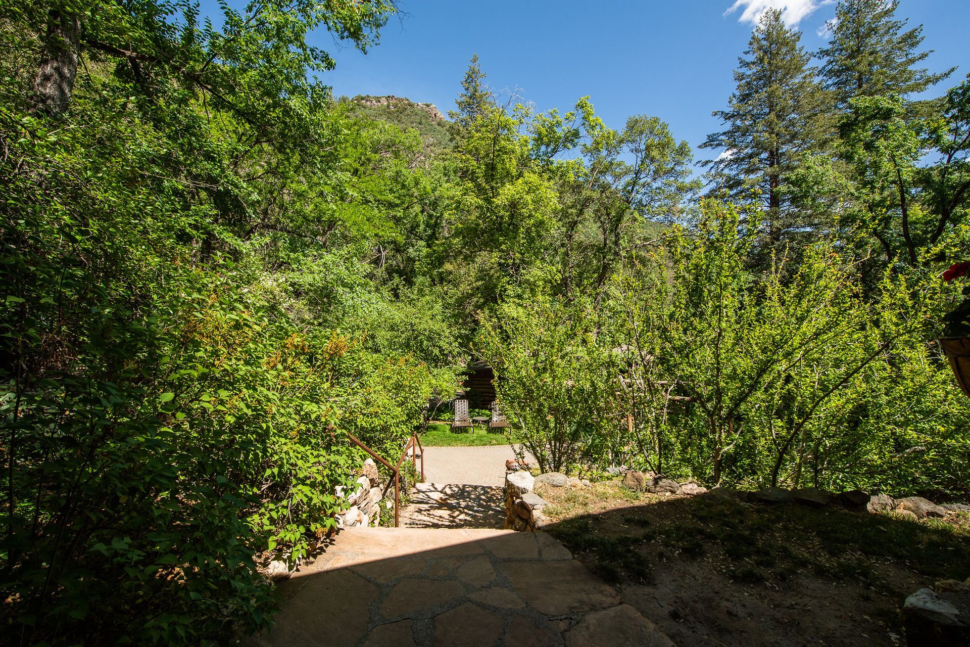 Sunny garden path framed by lush green trees and shrubs under a blue sky