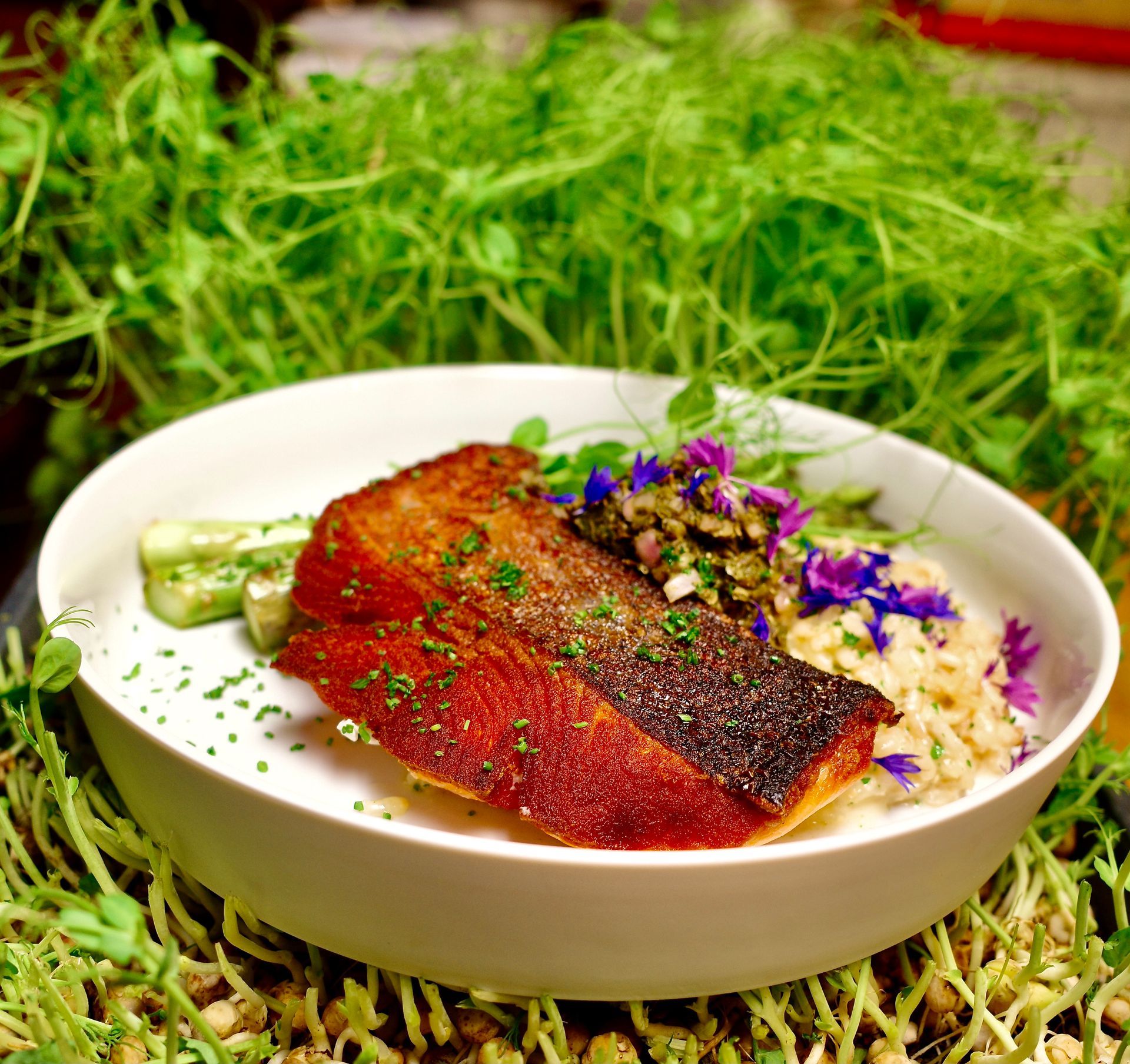 Pan-seared fish fillet with sauce and vegetables in a white bowl on grass-like greens