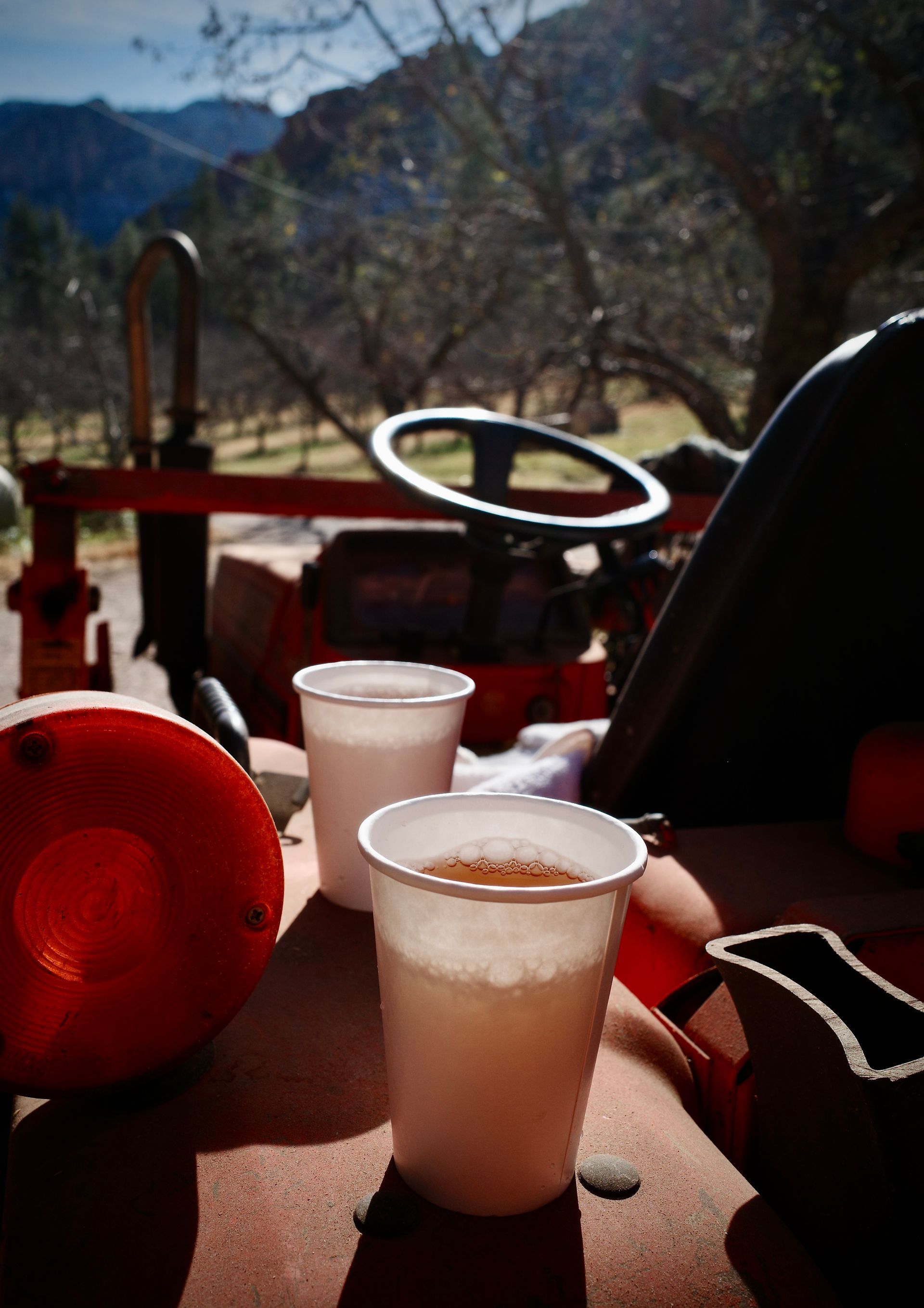Two white foam cups on a red patio table with mountains and trees in the background.