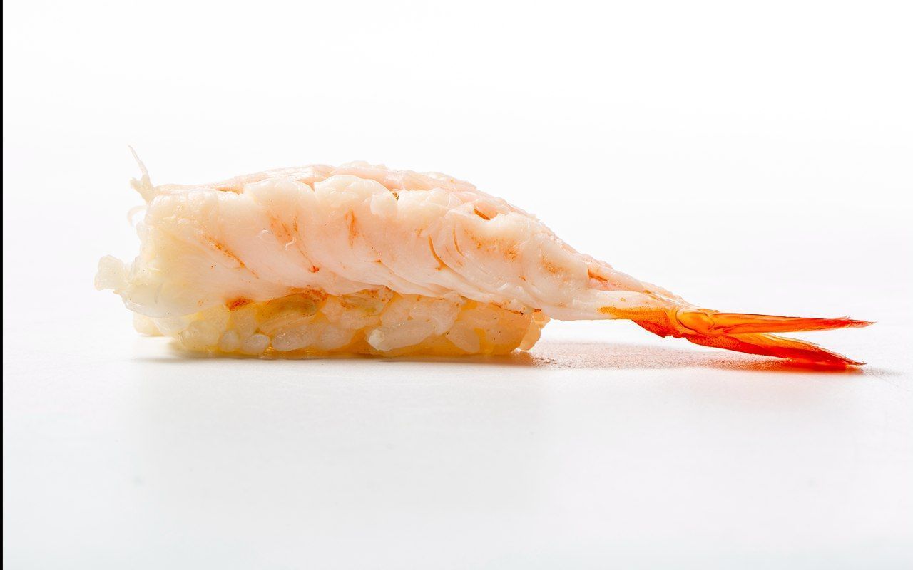 nigiri crevette cuites