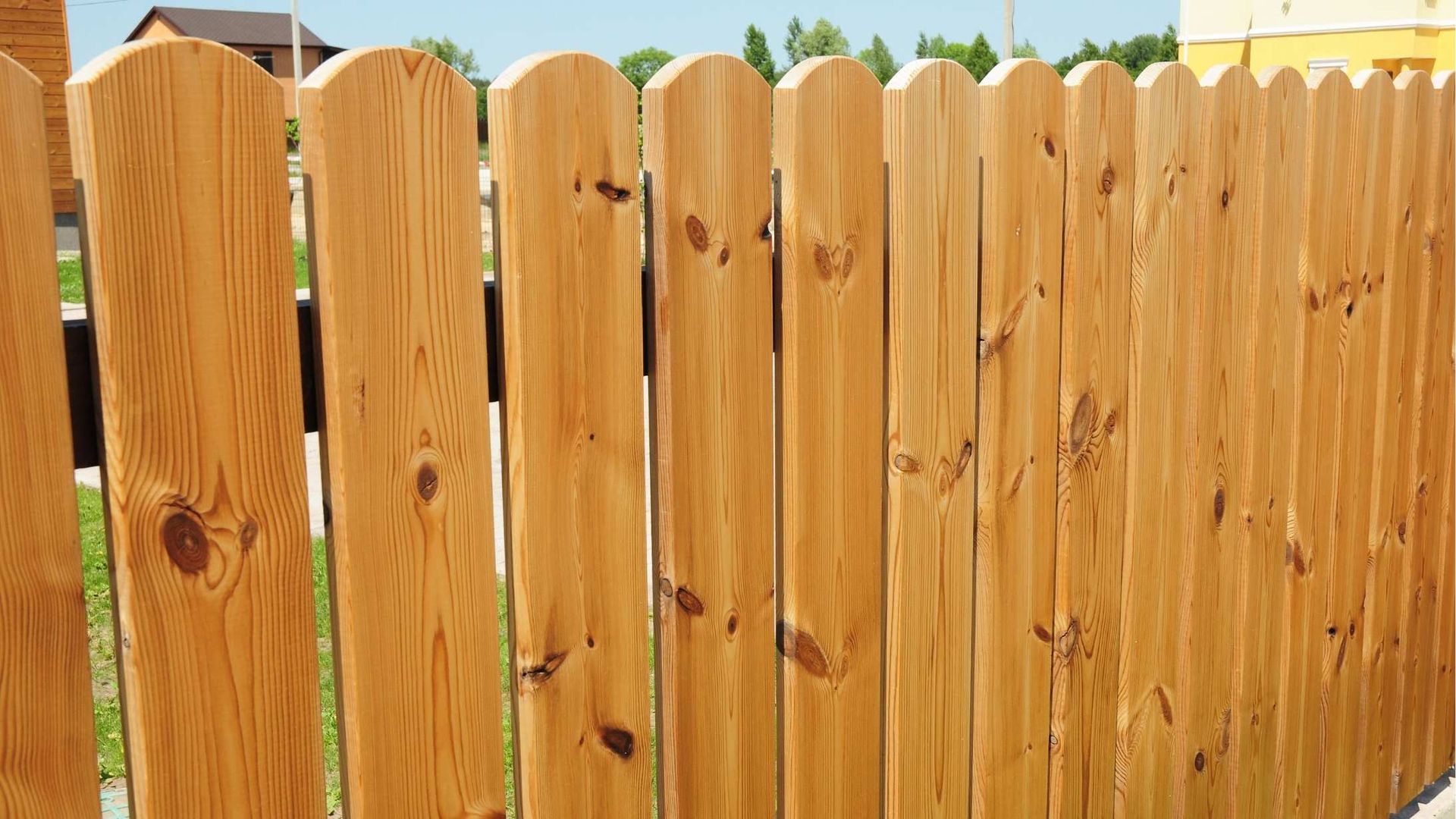 Wooden fence slats with visible knots and green foliage peeking above them
