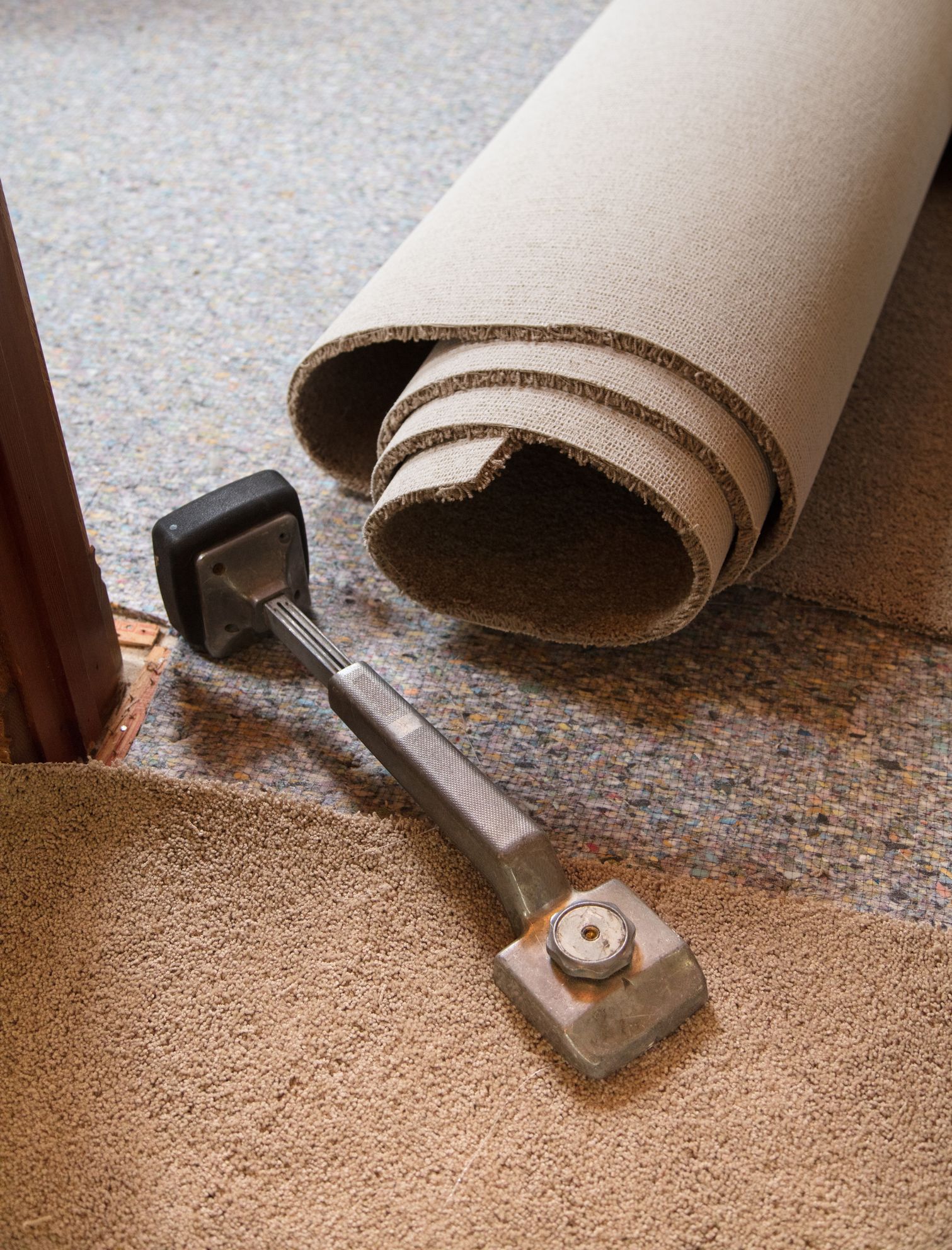 Rolled carpet and carpet stretcher tool on floor. Rolled carpet and carpet stretcher tool on floor.