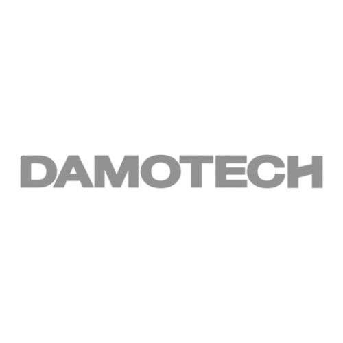 Gray “DAMOTECH” wordmark on a white background