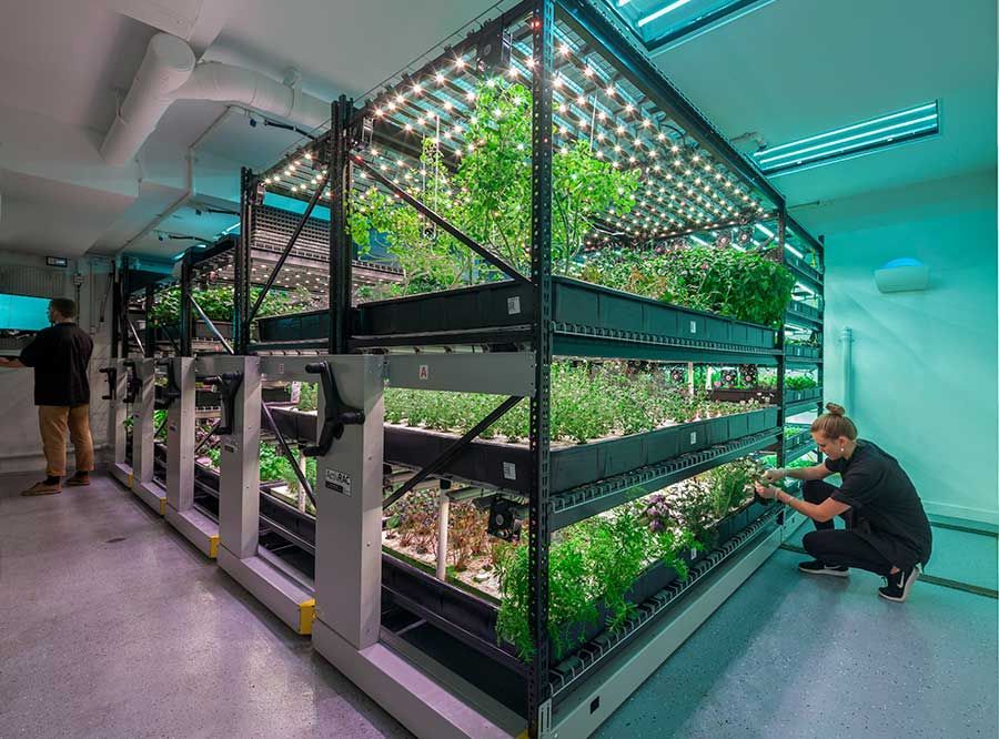 A man is kneeling in front of a row of shelves filled with plants.