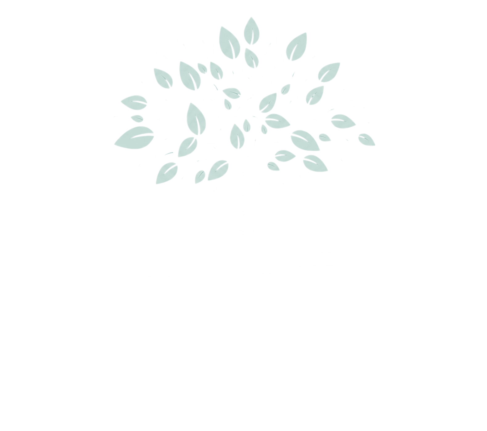 Carter Chiropractic & Physical Therapy Logo