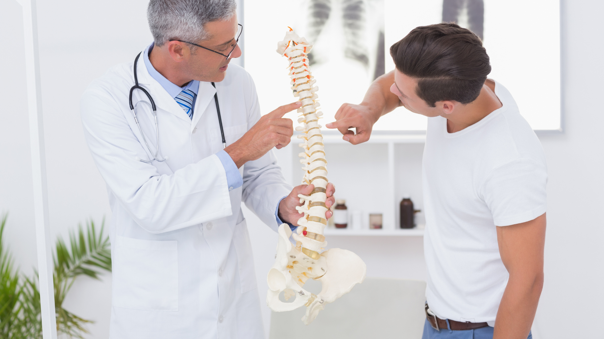 Doctor and patient examining a spine model in a clinic office