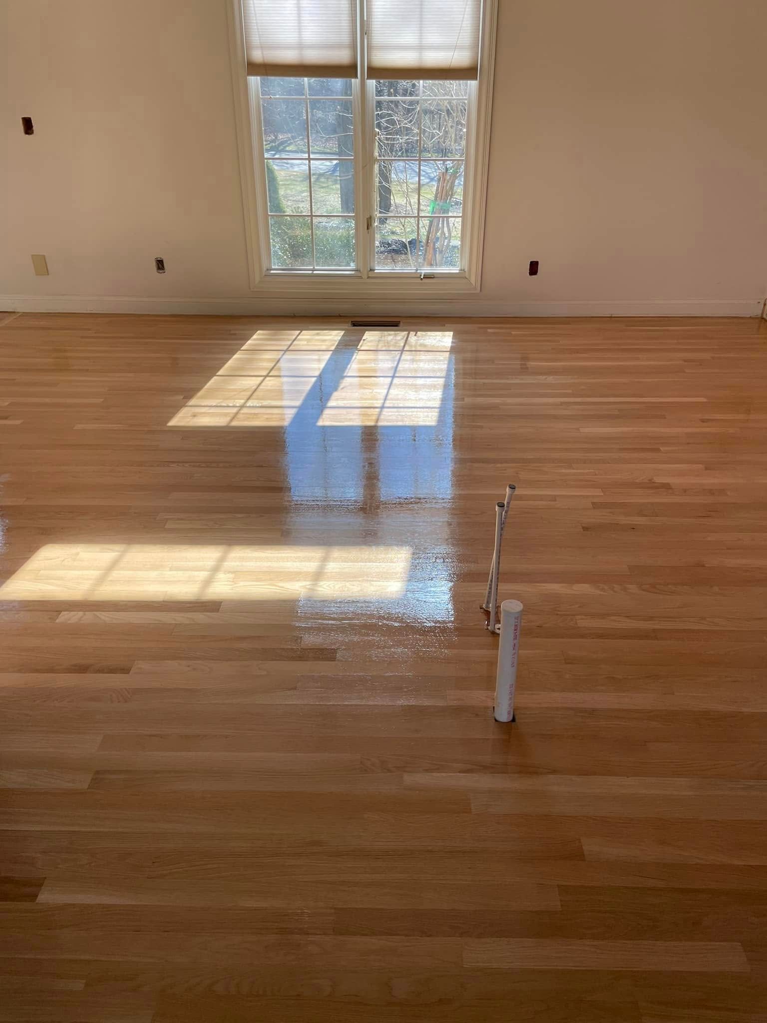 Empty hardwood-floored room with sunlight from a window and a small white object on the floor.